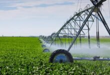 Punjab urges farmers to adopt efficient irrigation systems