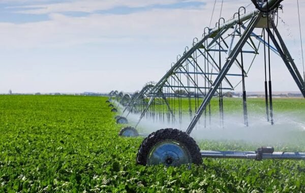Punjab urges farmers to adopt efficient irrigation systems