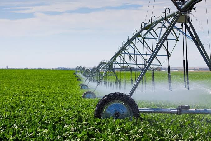 Punjab urges farmers to adopt efficient irrigation systems