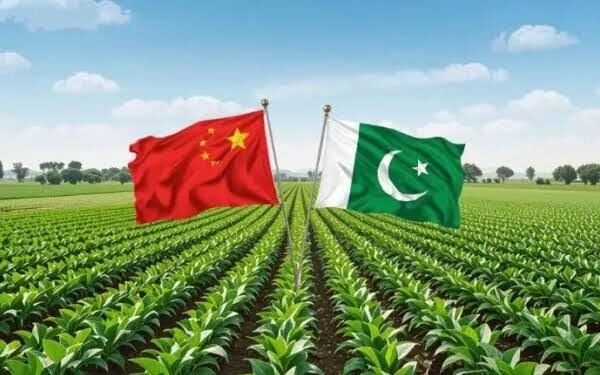 Pakistan eyes stronger farm research system through China cooperation