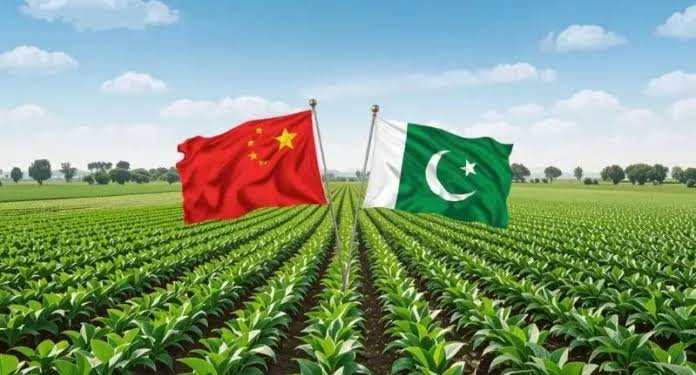Pakistan eyes stronger farm research system through China cooperation